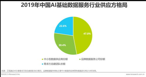 2020年中國(guó)AI基礎(chǔ)數(shù)據(jù)服務(wù)行業(yè)發(fā)展報(bào)告 軟件開(kāi)發(fā)的賦能與革新